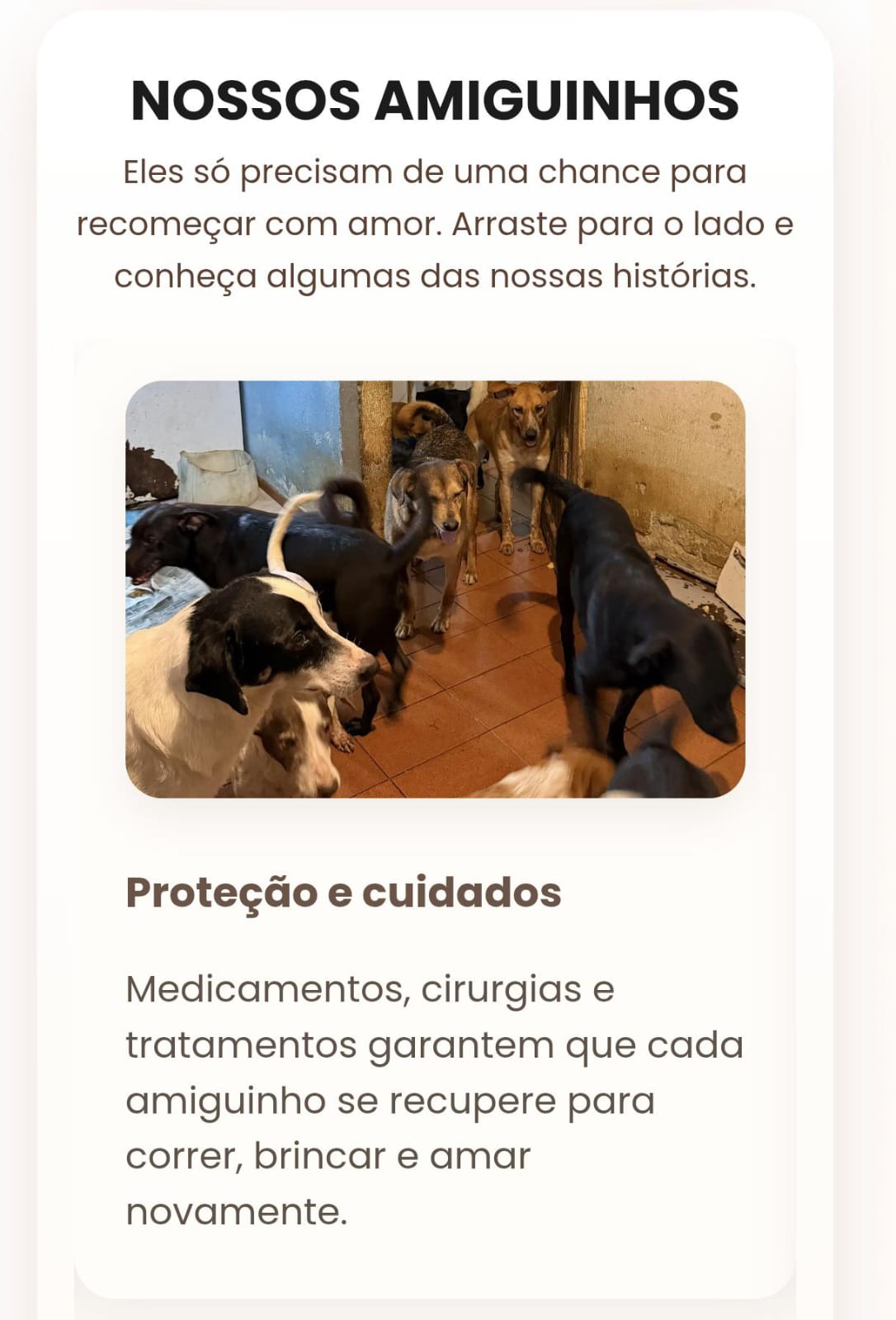 Protecao e cuidados